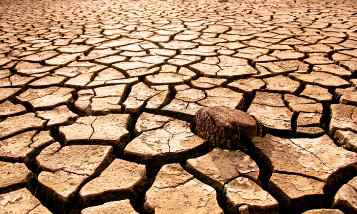 healthcare it staffing drought