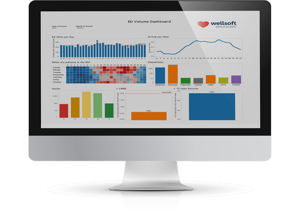 Wellsoft Charting