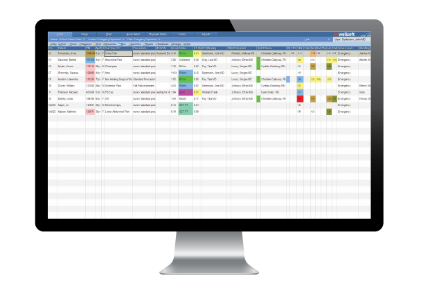 Wellsoft Charting